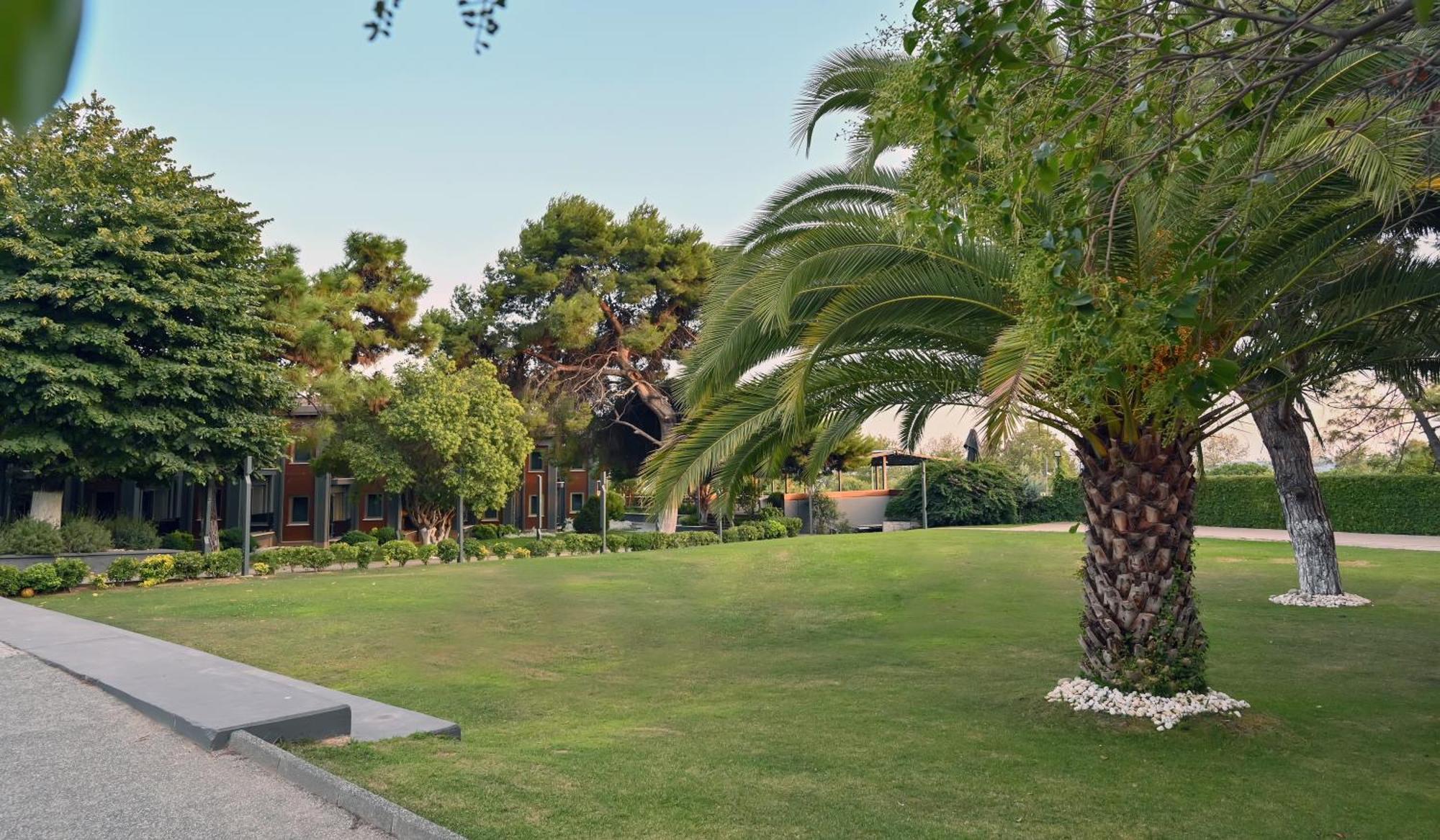 Denizati Plus Hotel — Fotoğraflar 1